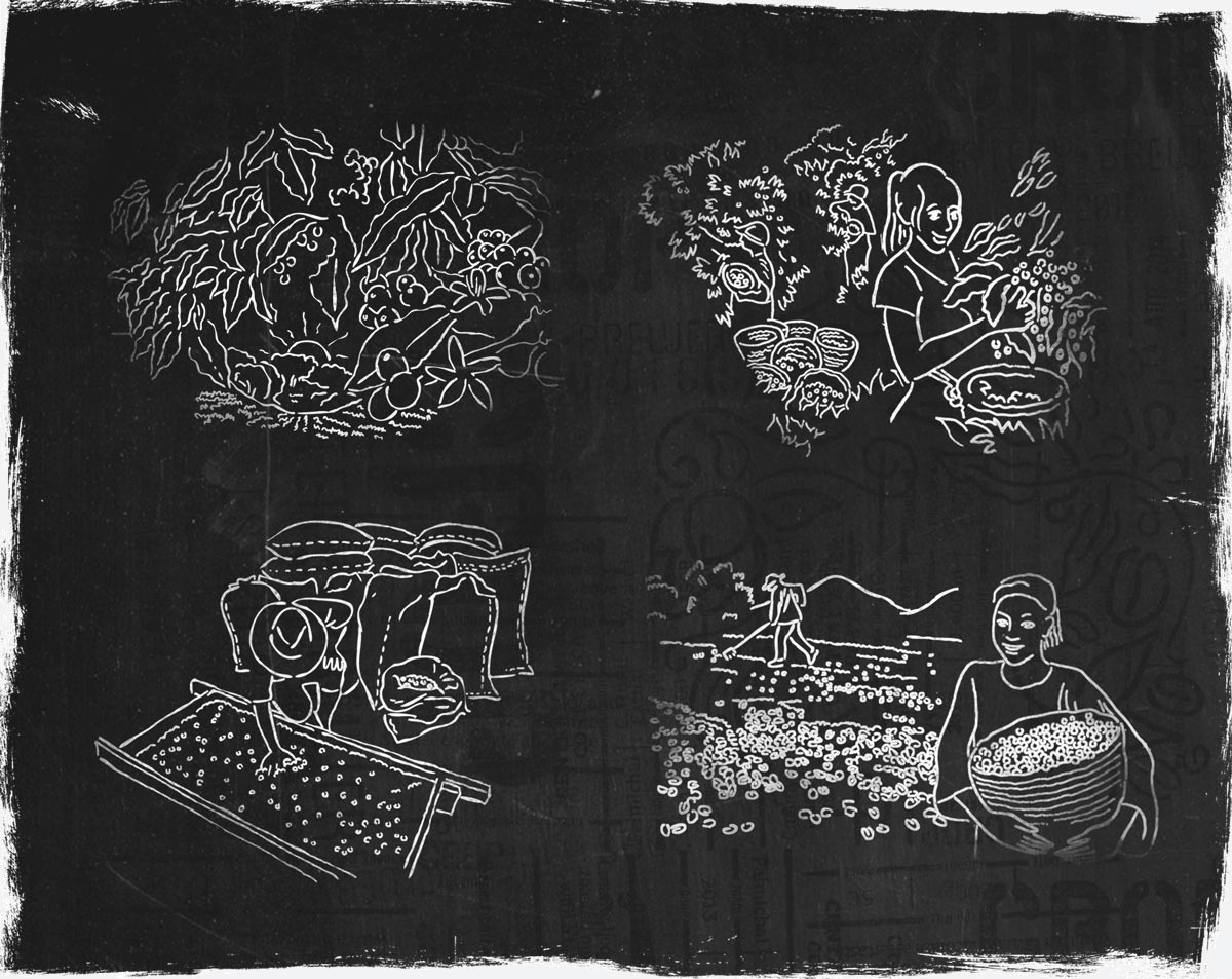 Crop illustration